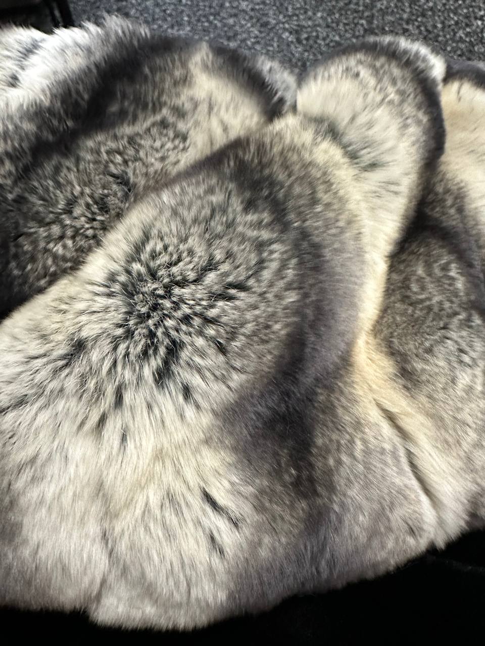 NEW Rex Rabbit Fur Collar Jacket – 1201137 Chinchilla REX size M with Golden Gradient