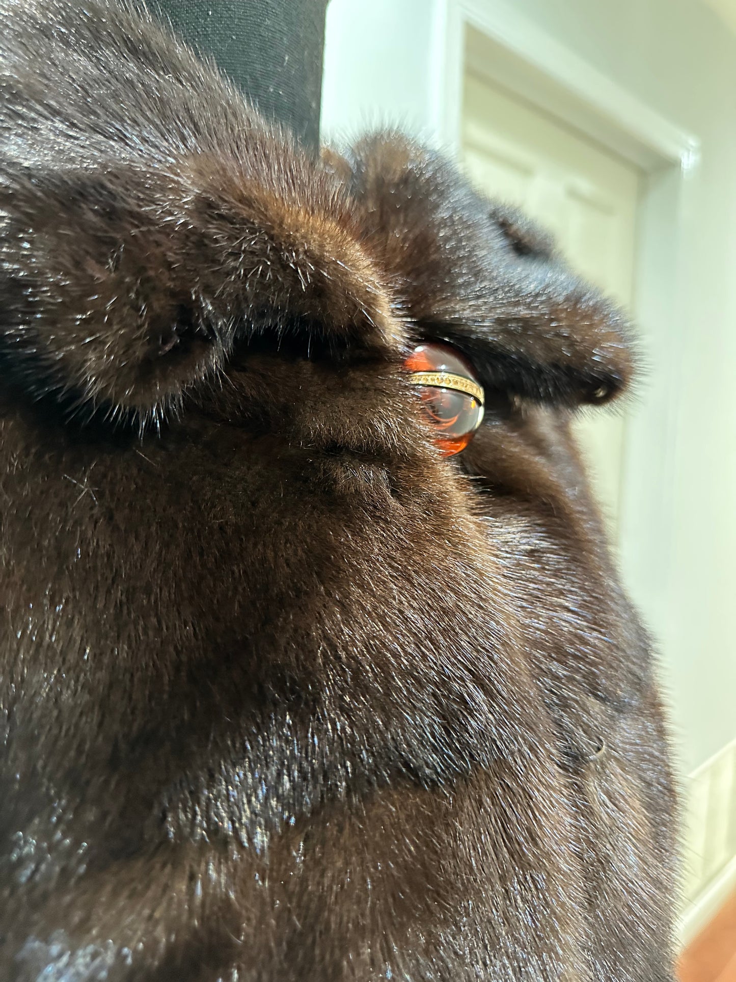 NEW REAL MINK FUR coat size XS SMALL 1201071 HORIZONTAL long sleeve jacket BROWN